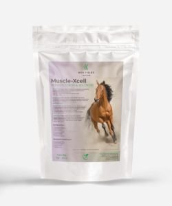 Muscle - XCell - Soutien musculaire naturel pour chevaux, 1&nbsp;kg